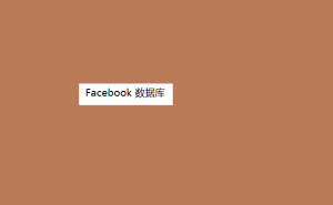 Facebook 数据库 