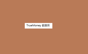 TrueMoney 数据库 