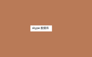 skype 数据库-min